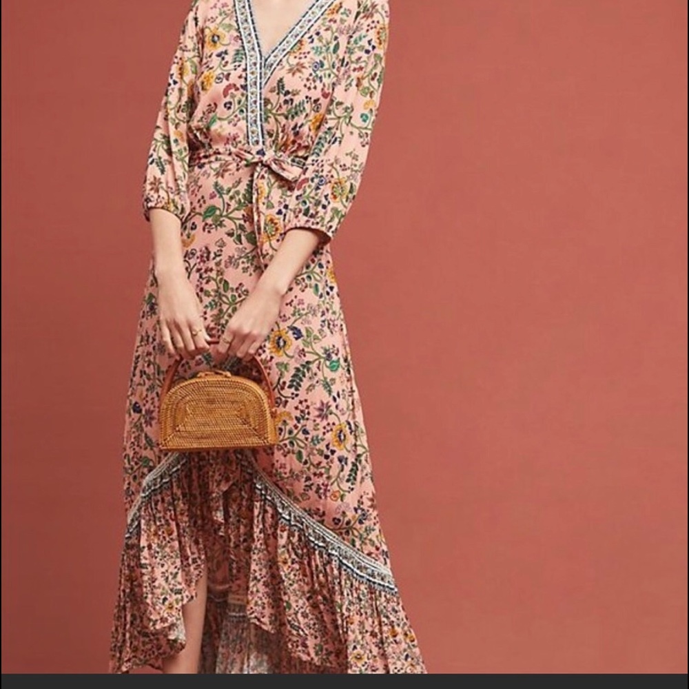 Anthropologie  Farm Rio Dress